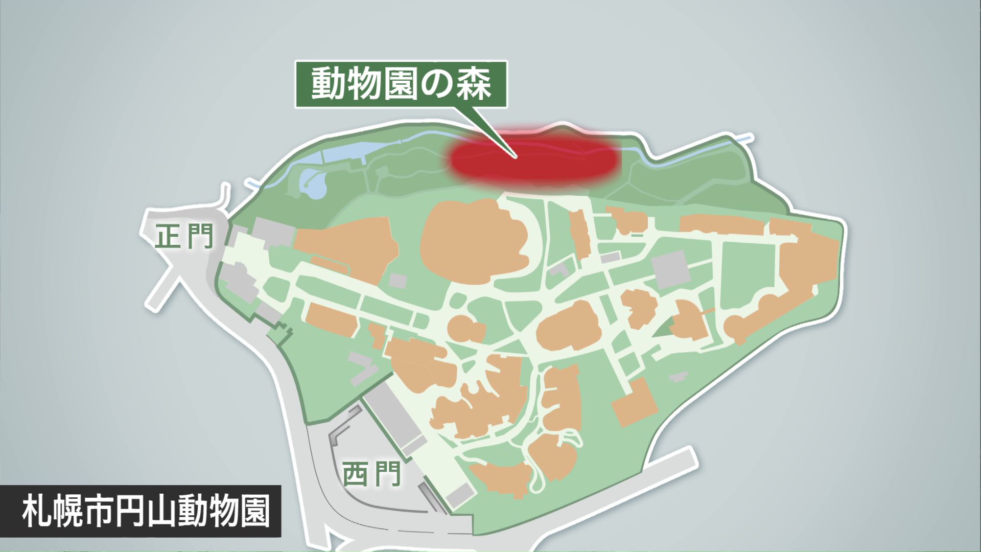 クマの足跡が発見されたのは園の東側「動物園の森」