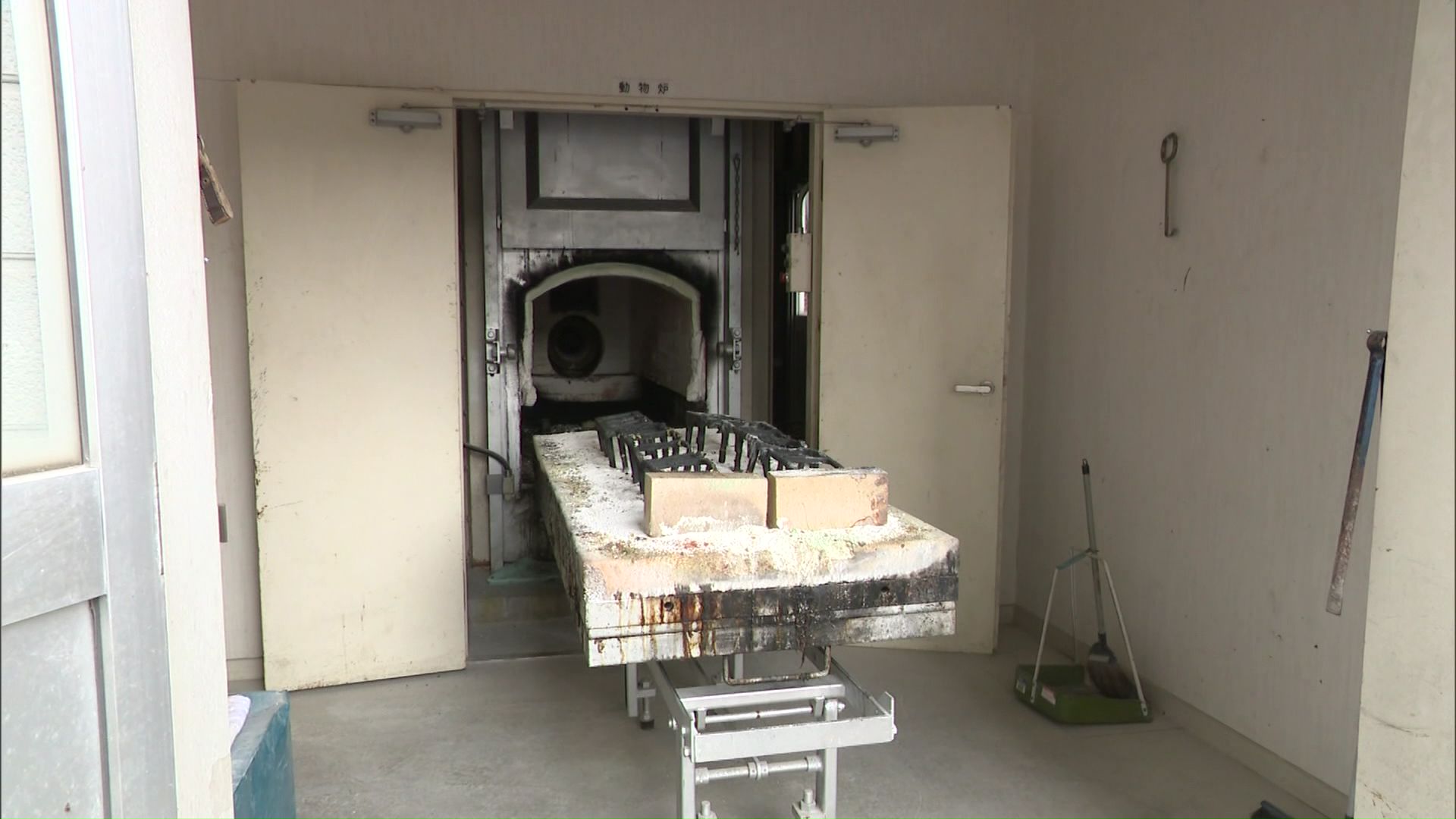 ここでクマなどの焼却処理を行っている