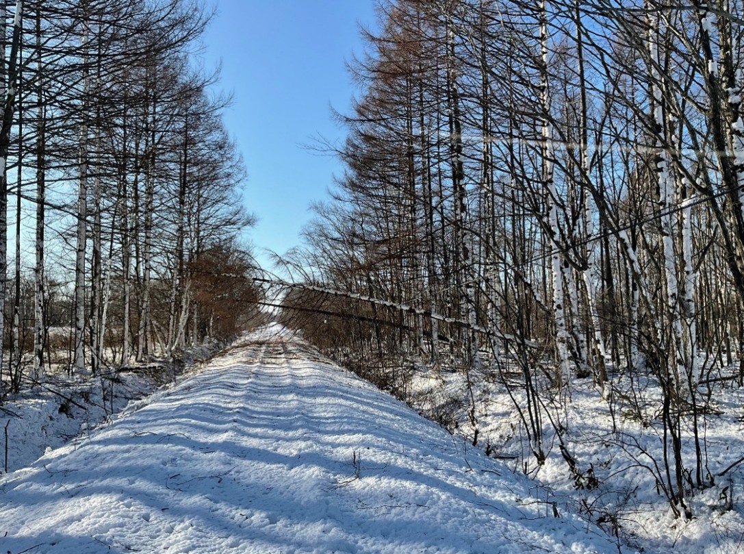 16日正午ごろ・釧網線の茅沼―標茶間は線路上に多くの雪が積もっている(提供:JR北海道)