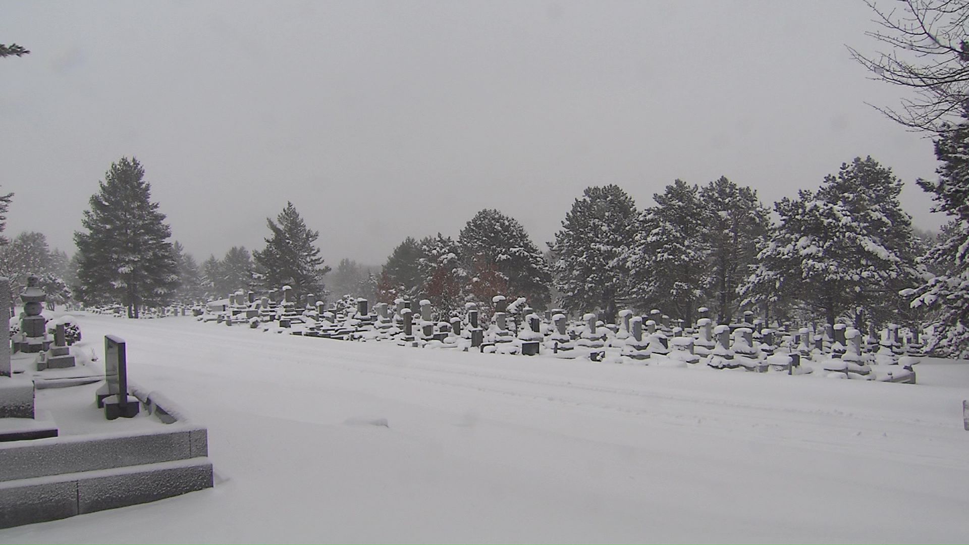 墓じまいの件数は過去最多に