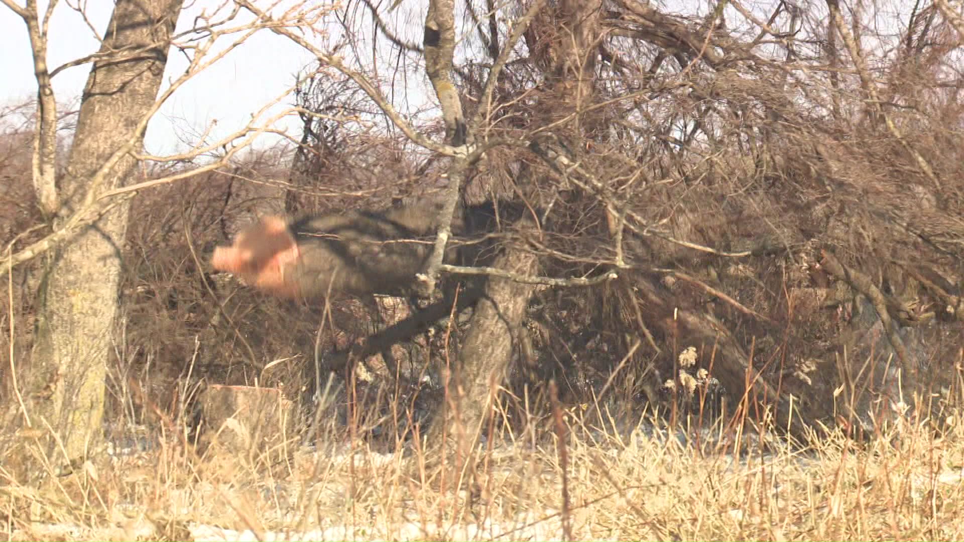 昭和地区では22日に工事が始まった