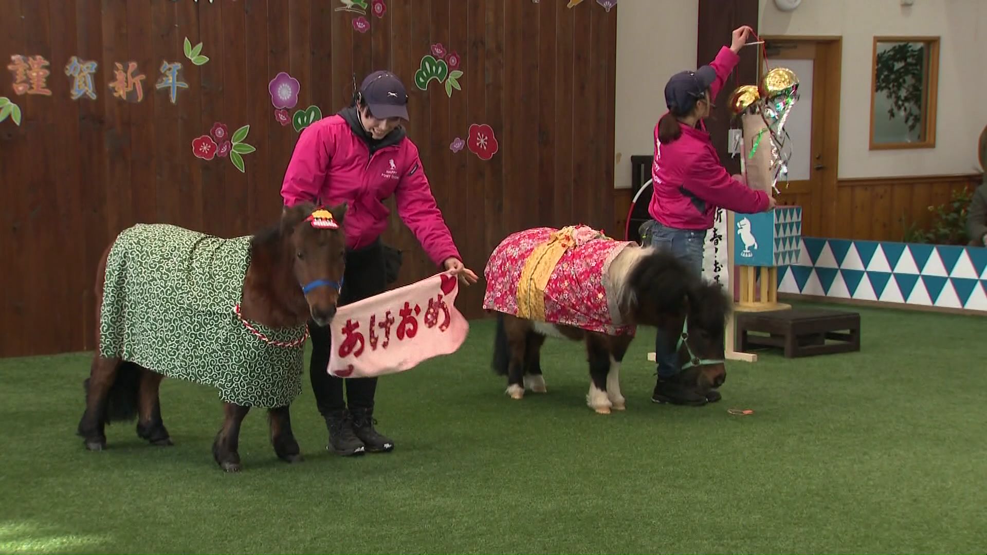 苫小牧市のノーザンホースパーク