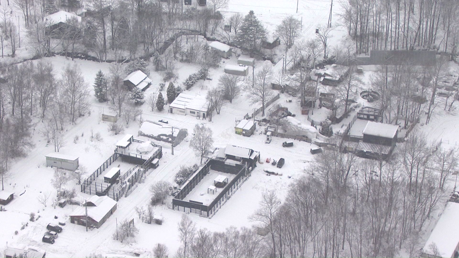 違法建築物の撤去を求められている「ノースサファリサッポロ」