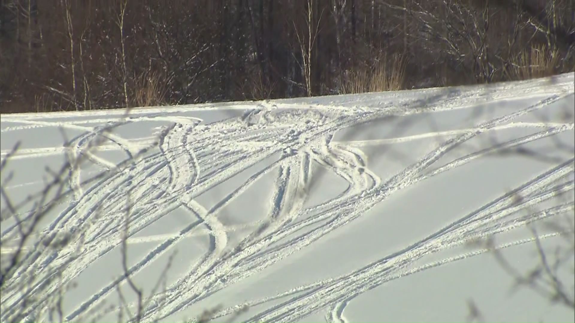 事故現場近くの山林（石狩市）
