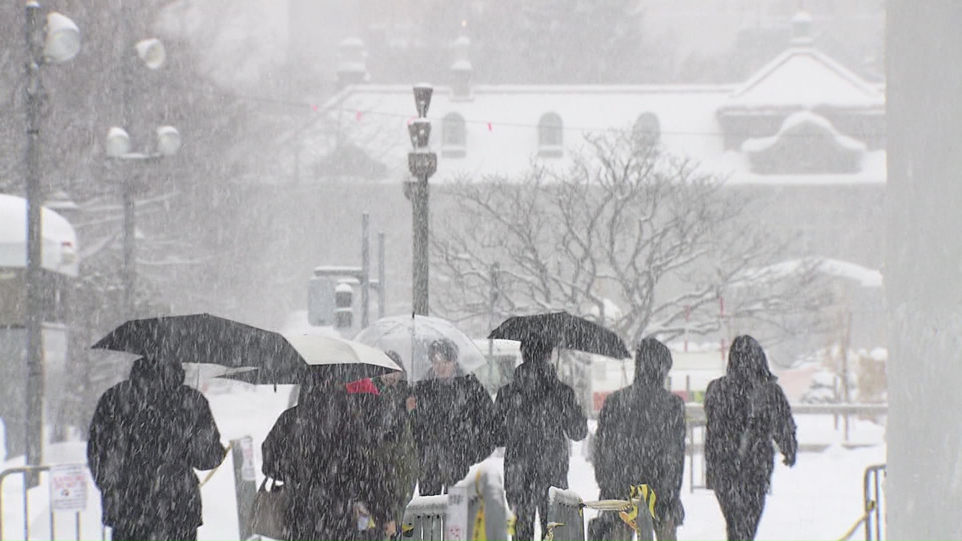 札幌市でも雪の影響が