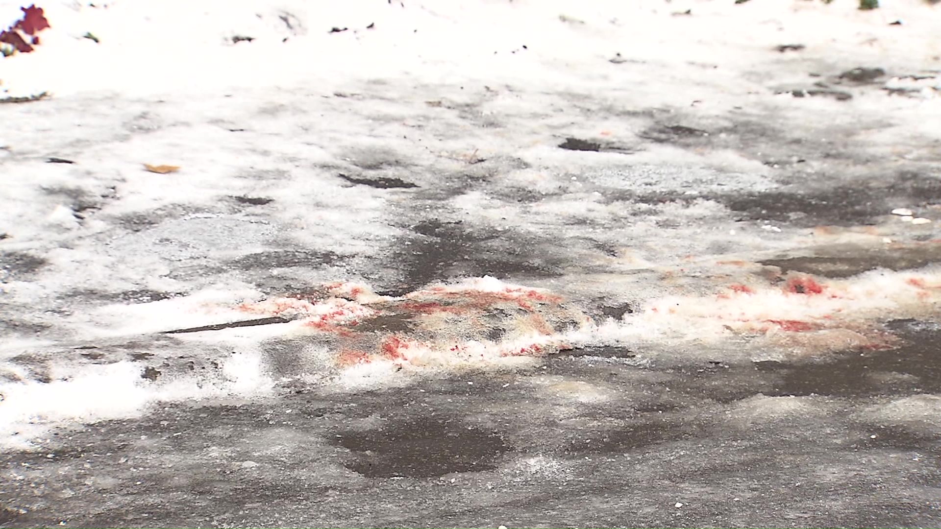 事件があった路上に残っていた血痕