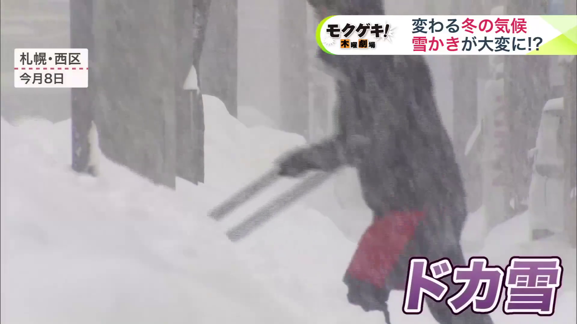 “ドカ雪”に見舞われた札幌市(1月8日)