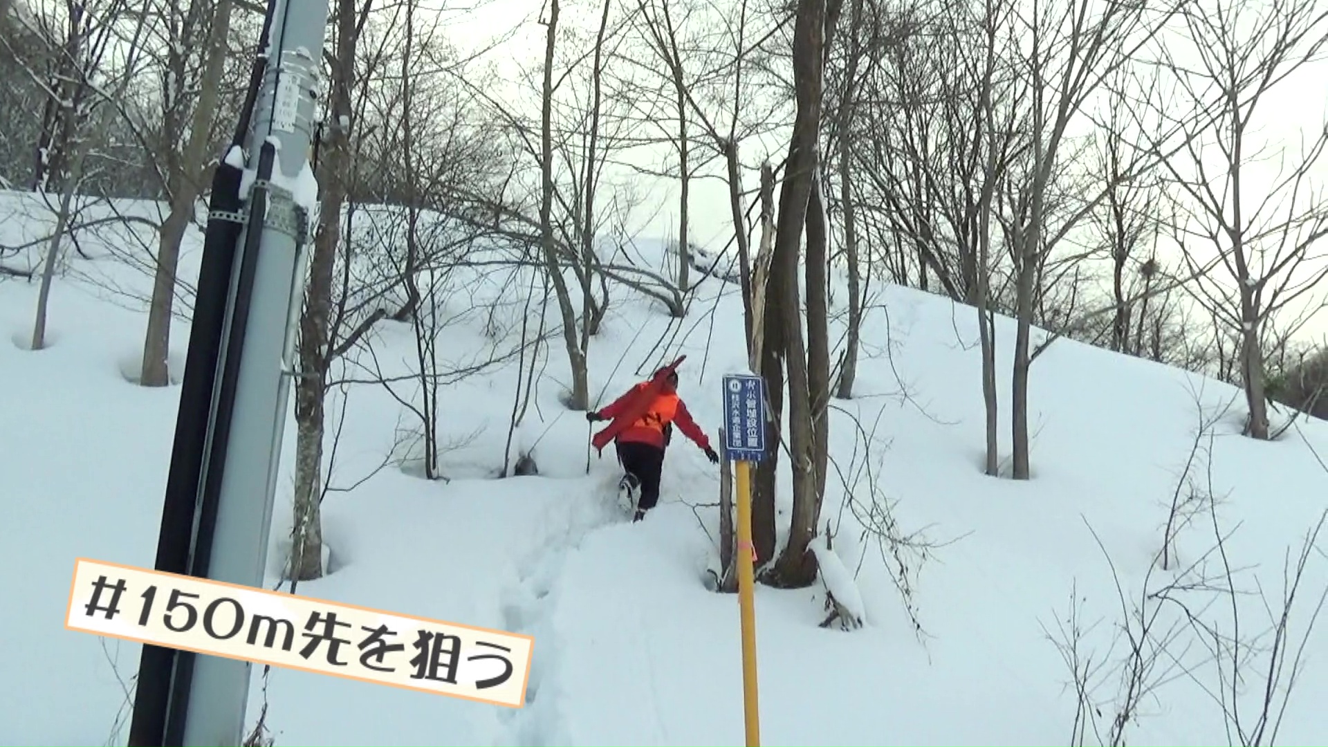 年間100頭以上のシカを捕獲