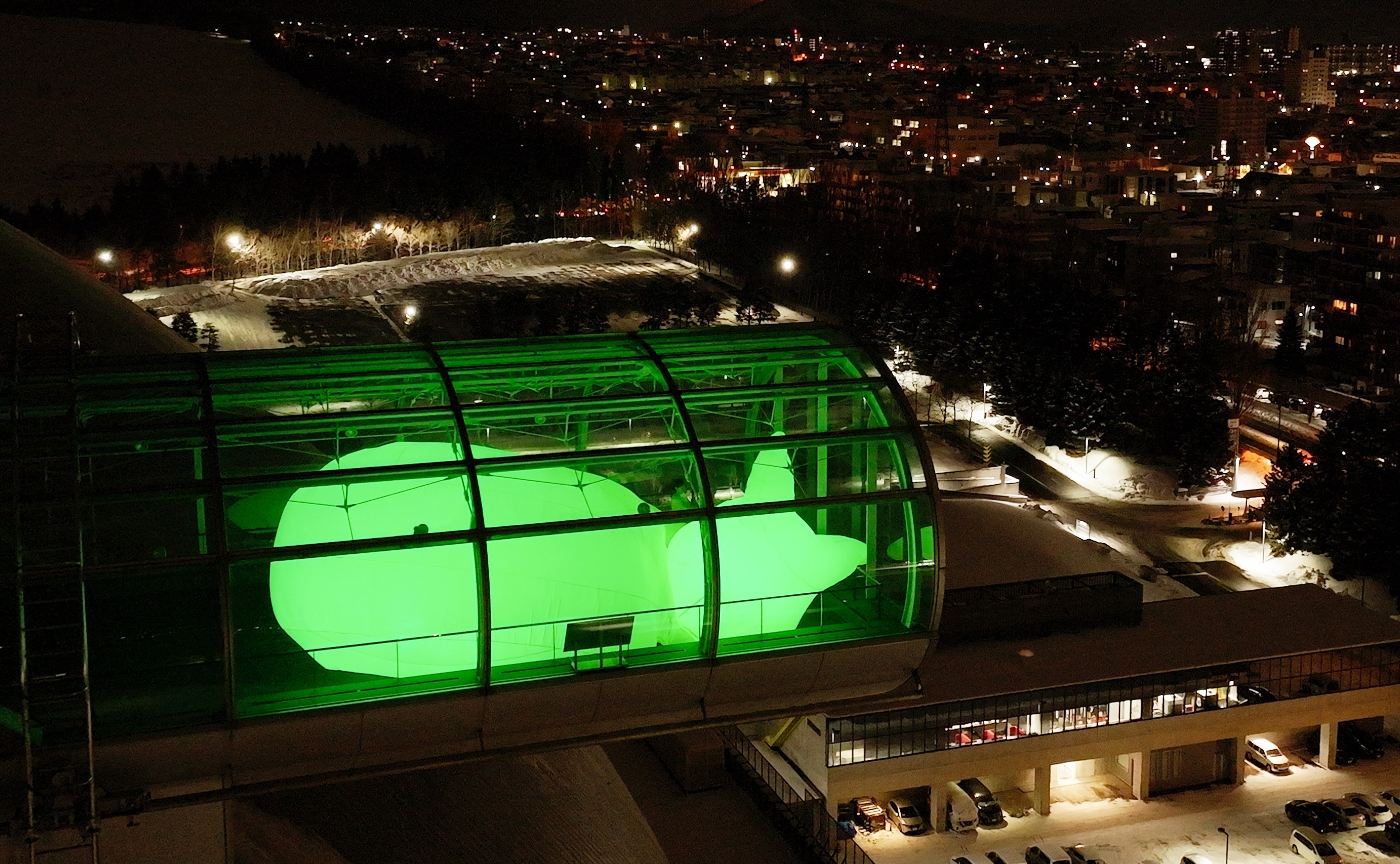 札幌の夜景を見下ろす猫(札幌ドーム提供)