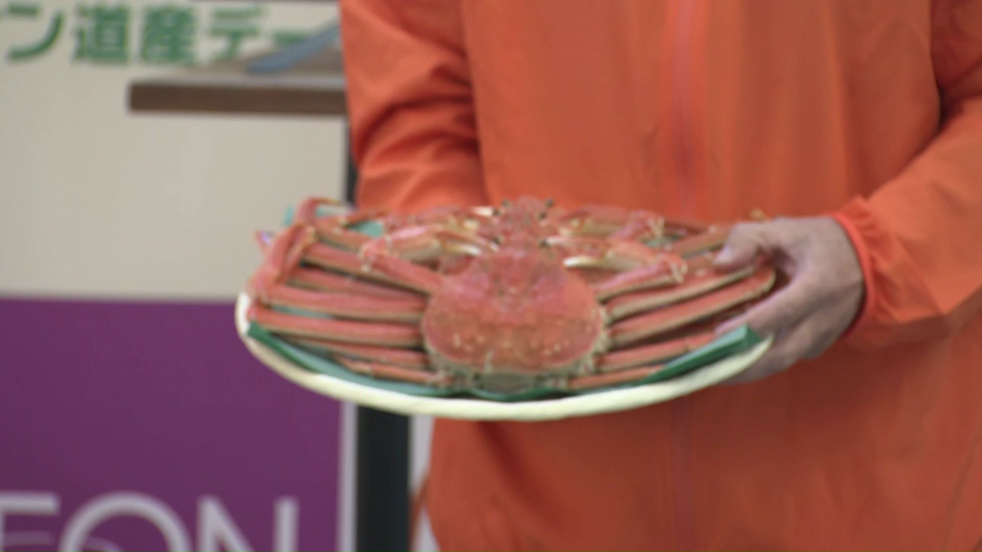 人気上昇中のオオズワイガニ