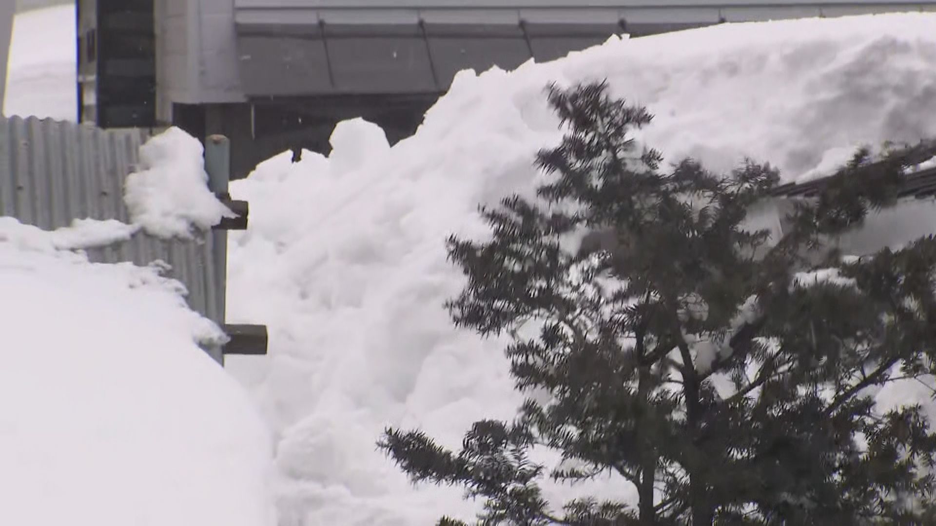 落雪事故があった現場