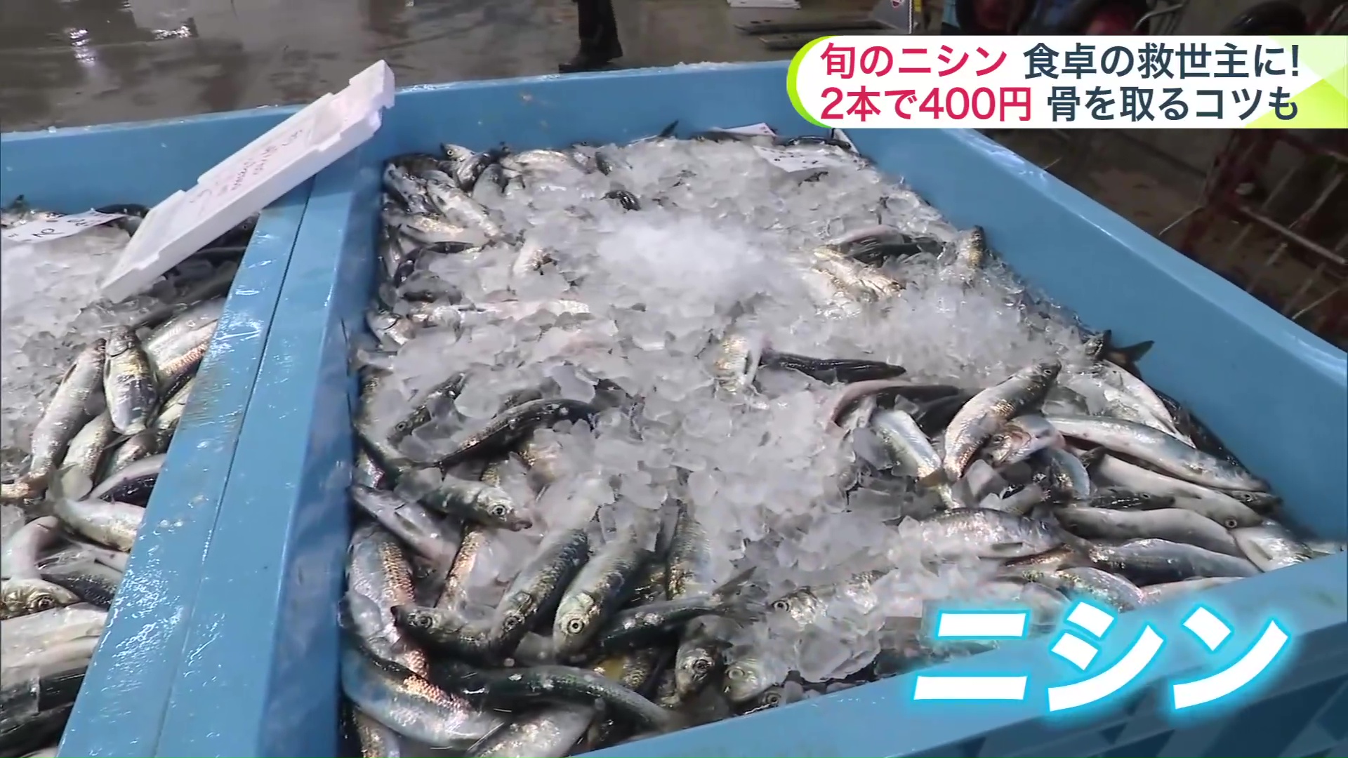 旬の大きなニシン