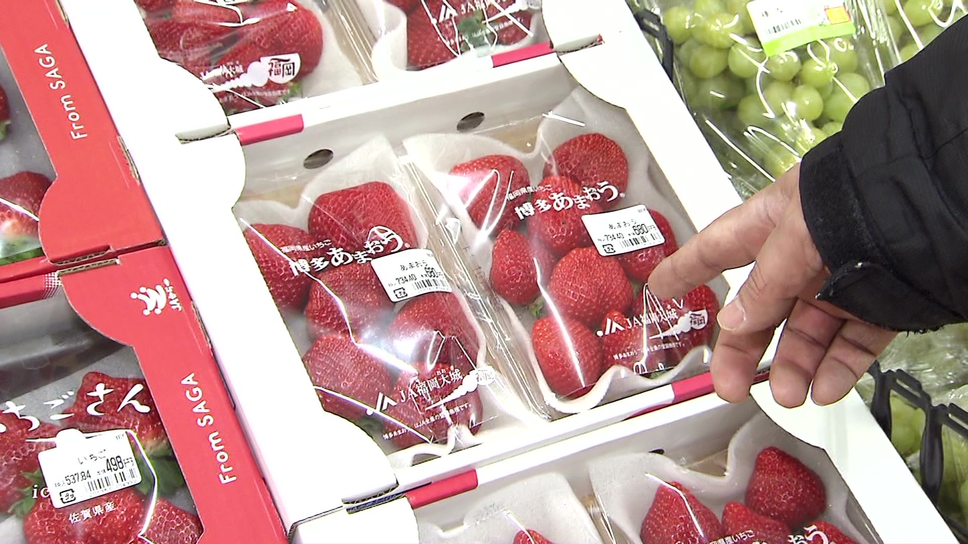 イチゴは今が買い時