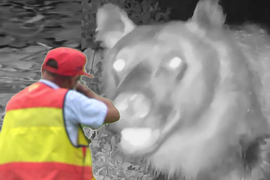  画像はイメージ