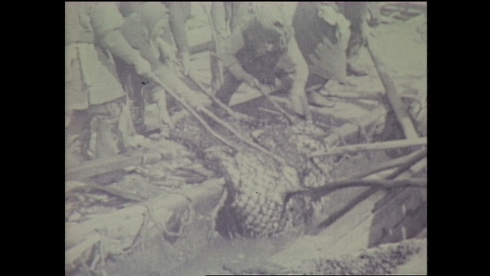 大正時代のニシン漁の様子（所蔵：北海道立総合博物館）