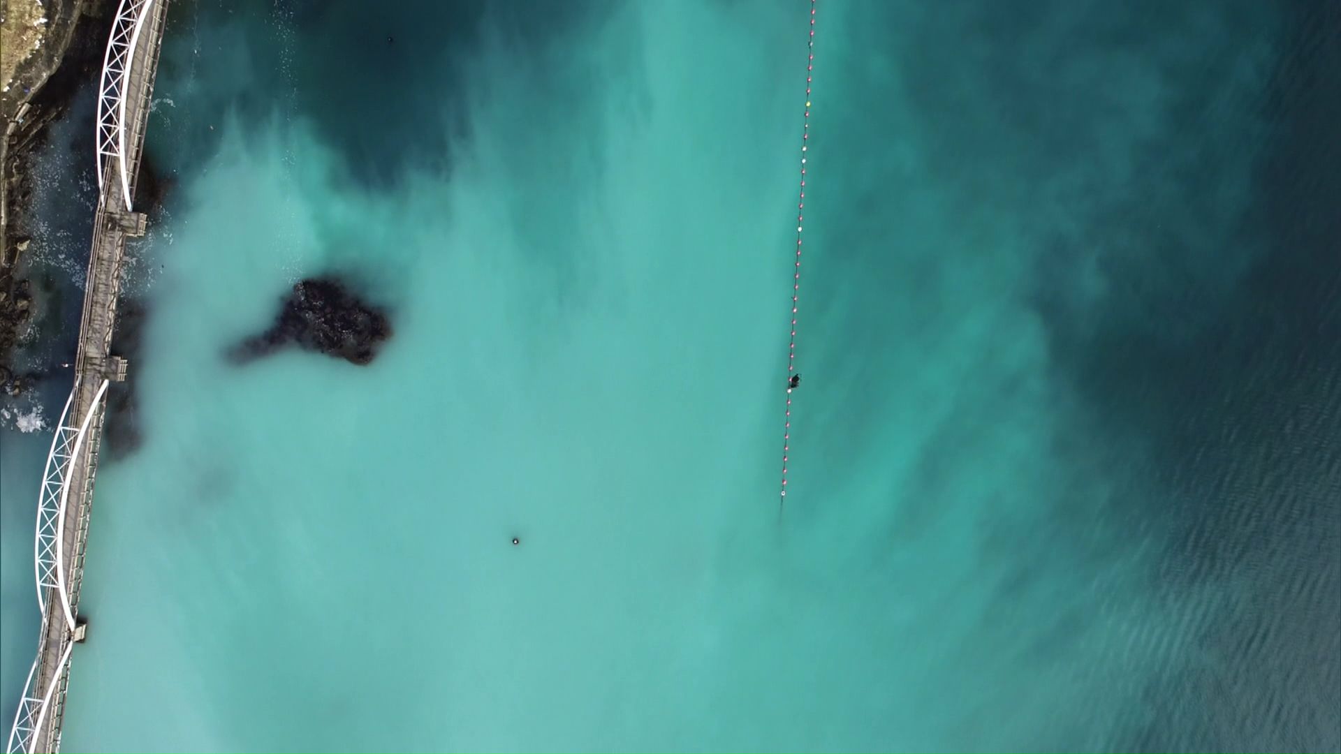 ニシンの大群が産卵し海が乳白色に染まる現象「群来（くき）」（提供：江差町）