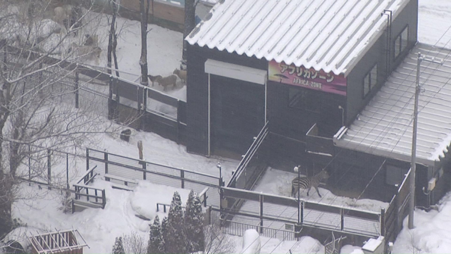 札幌市内や近郊に新たな用地を探す方針