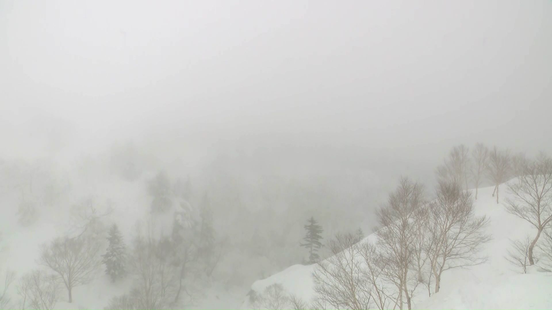 雪崩が発生した上富良野岳