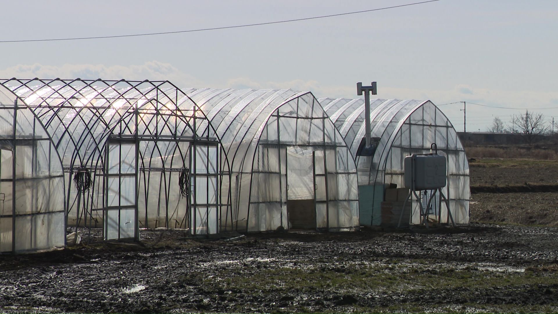 温室やトラクター稼働の為に燃料が必要となる農家も