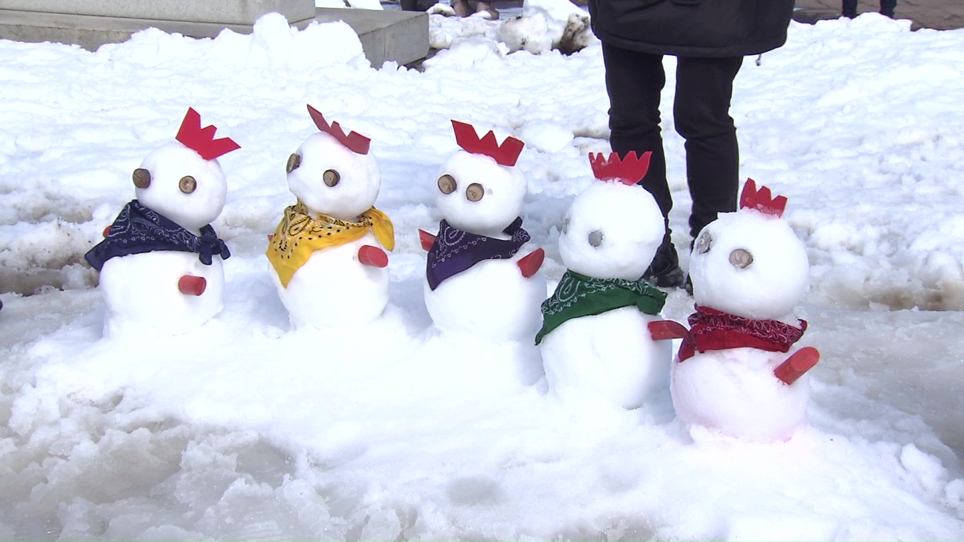 メンバーカラーのバンダナをつけた「雪だるま」