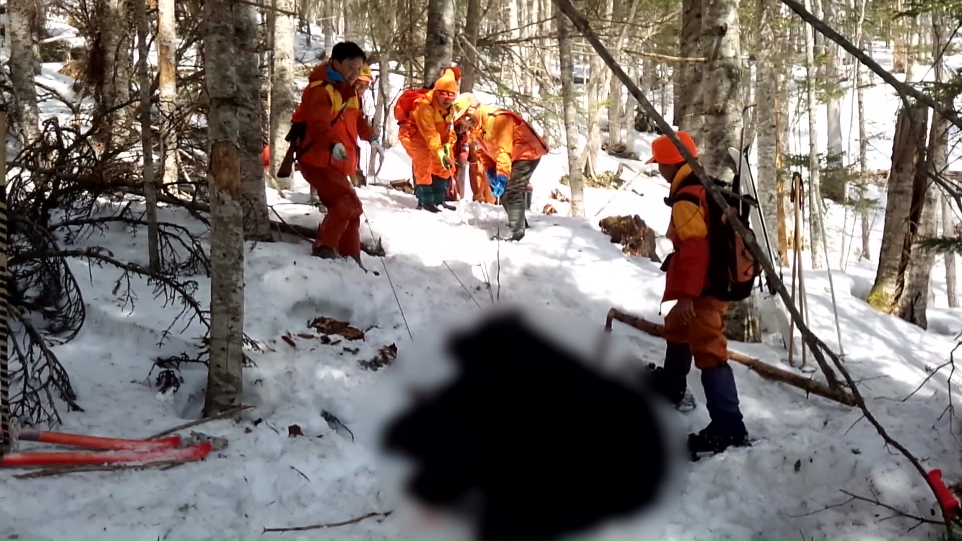 最前線でクマを駆除する猟友会