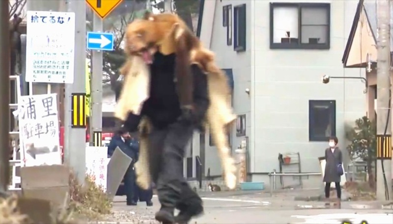 クマに扮した警察官が町内を徘徊