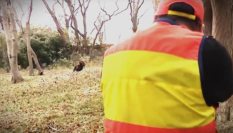 訓練に参加したハンター