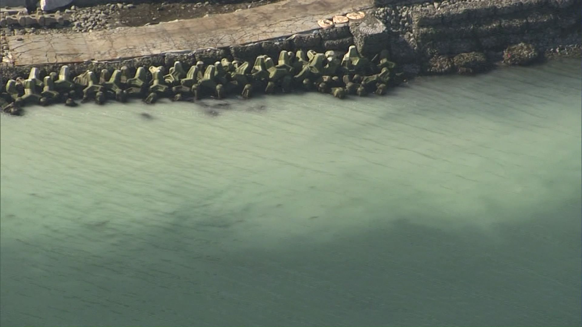 ニシンの産卵活動により海面が淡い乳白色に染まる現象 「群来」