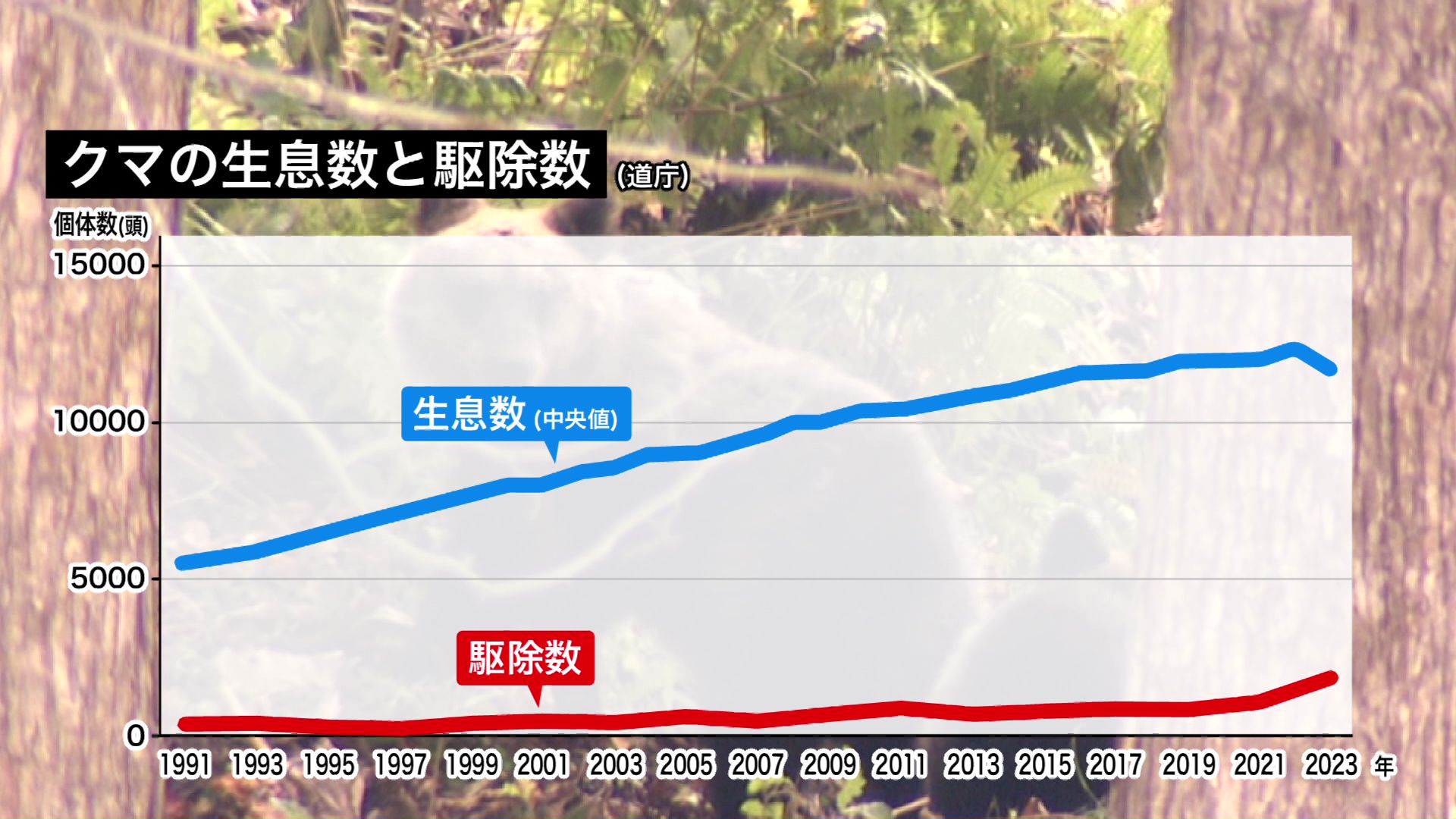 右肩上がりに増える生息数