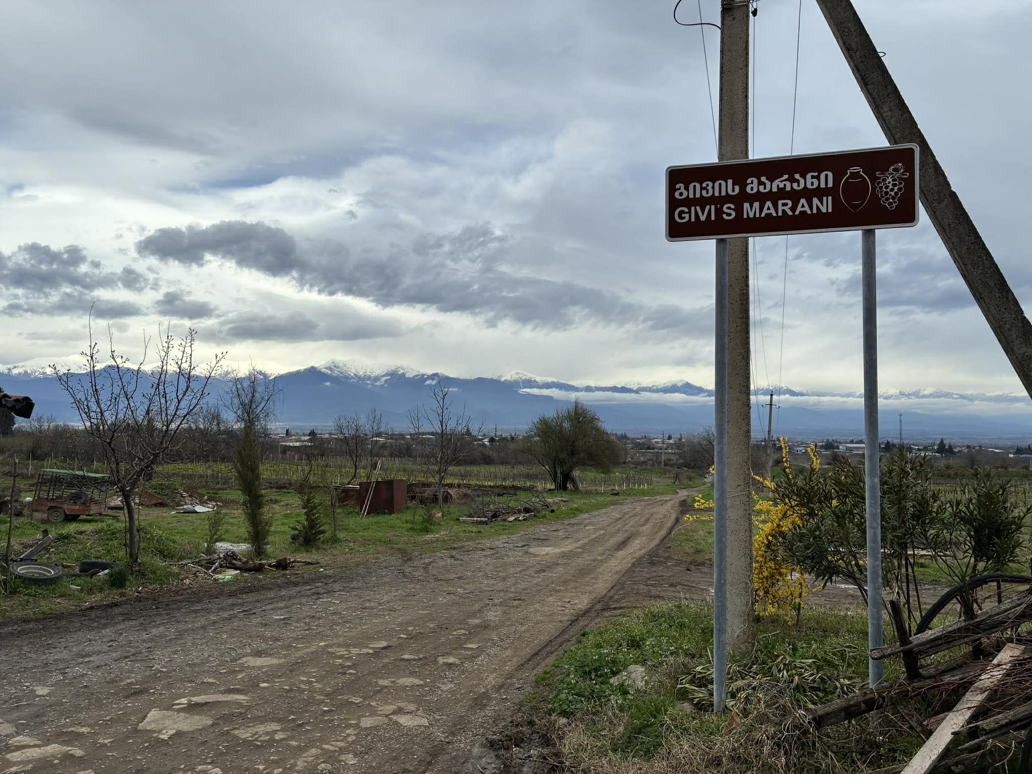 現地のワイナリーを視察 余市産のブドウは品質や味わいに共通点も(提供:余市町)
