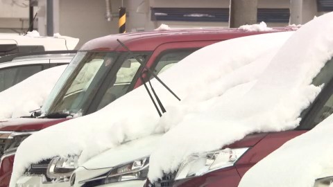 車の上に積もった雪