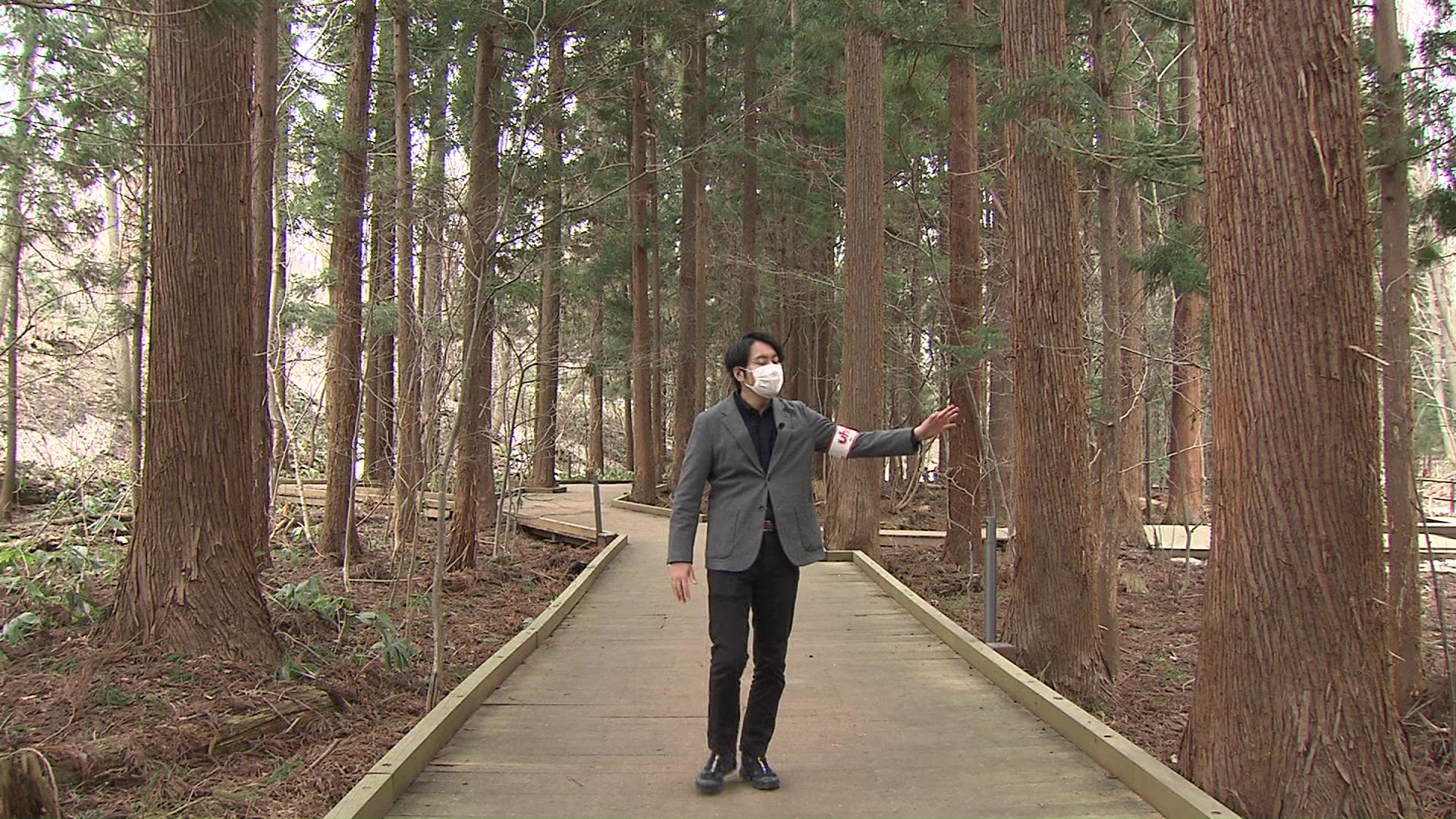 円山公園と円山動物園を結ぶ木道