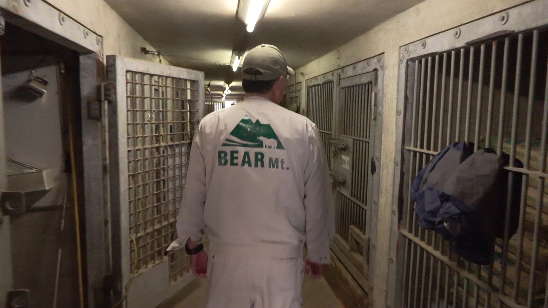 ベア・マウンテン内の様子