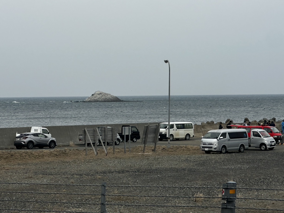 捜索に当たる消防隊員ら