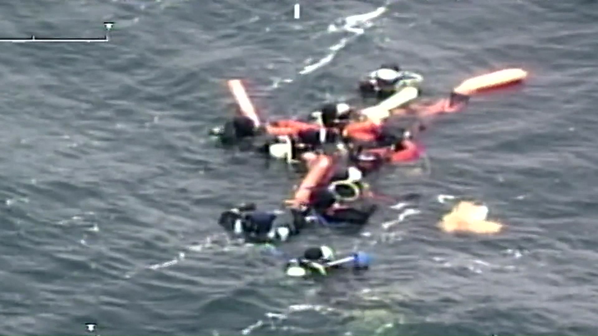 ダイバーは弁天島で「トドウォッチング」をしていた（提供：第一管区海上保安部）