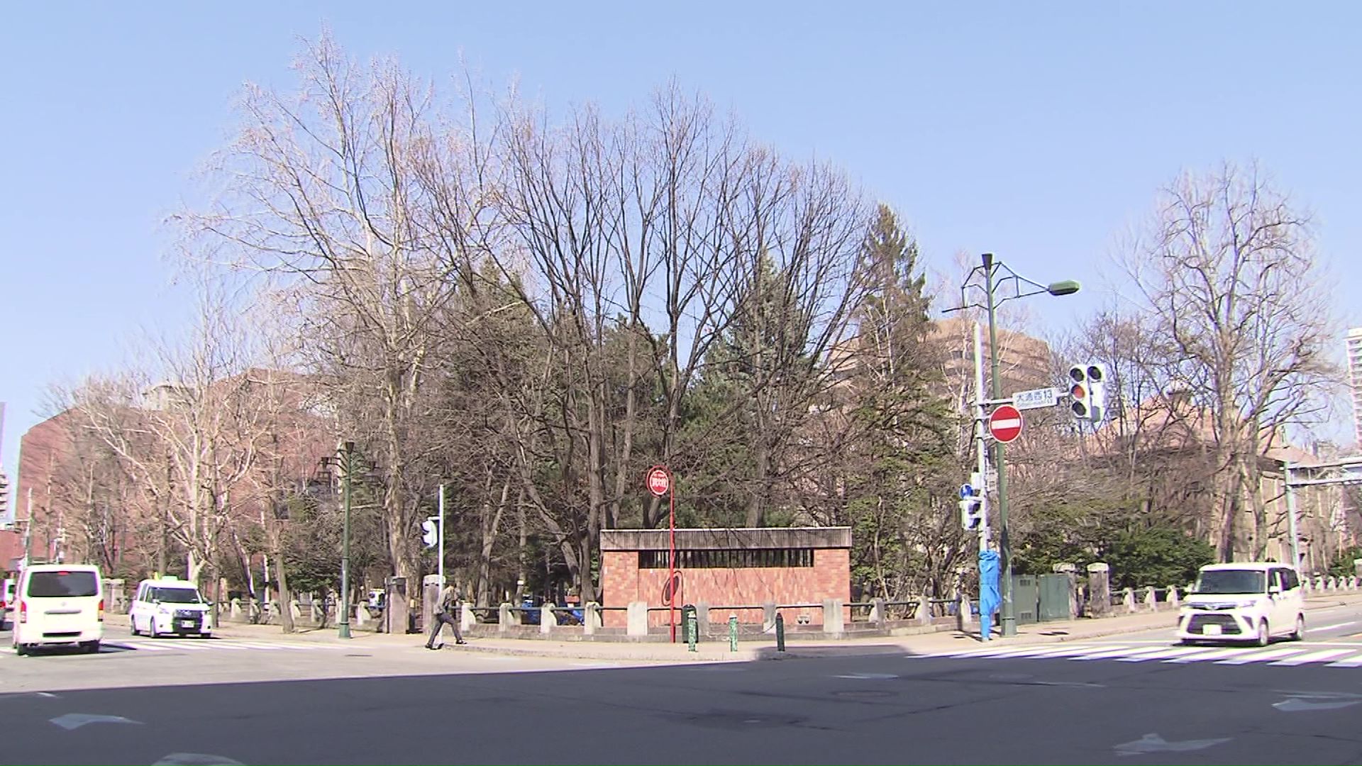 札幌市中央区大通西13丁目 札幌資料館裏手のサクラ