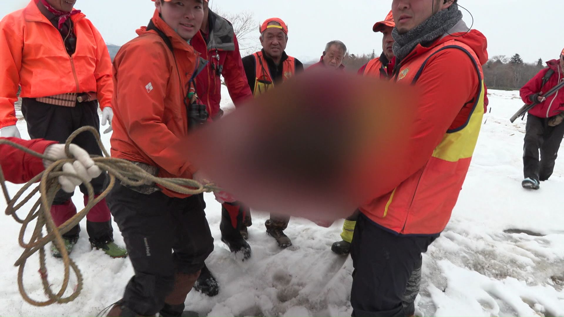 春季管理捕獲を行いメスの成獣1頭を駆除（標津町）