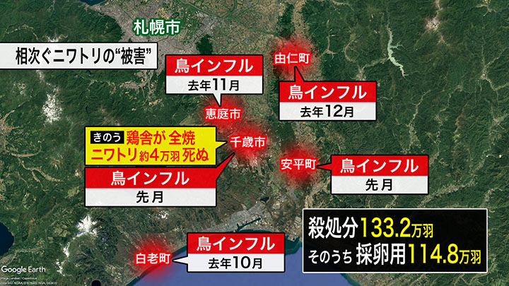 鳥インフルなどで相次ぐニワトリの“被害”