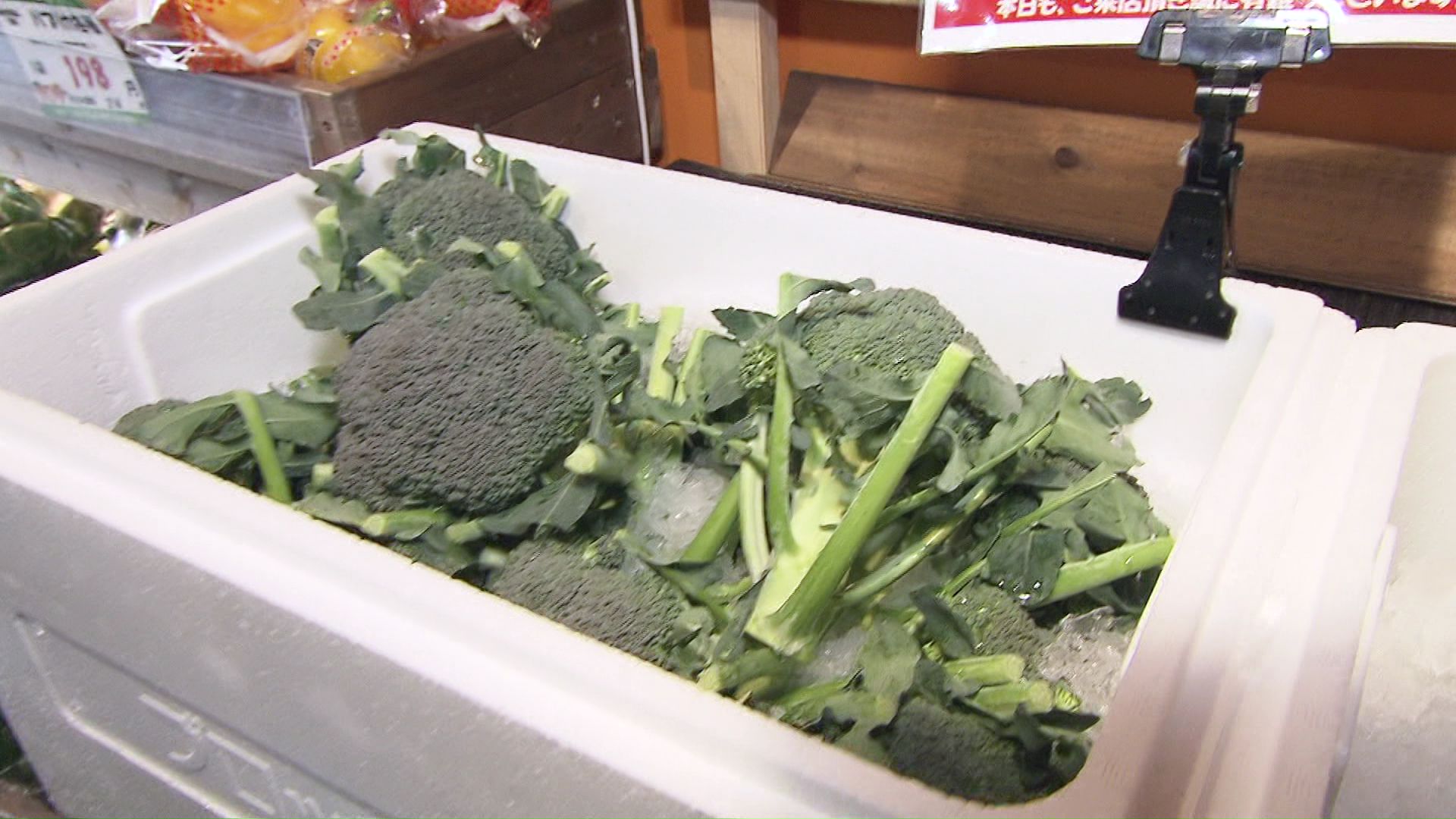 店には新鮮なブロッコリーがたくさん並んでいる