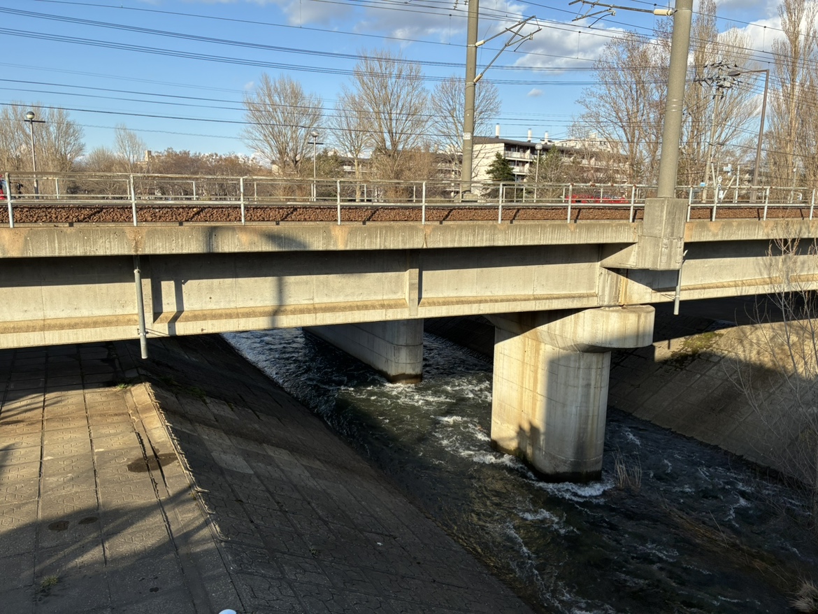 男性の遺体が見つかった琴似発寒川の現場（札幌市西区）