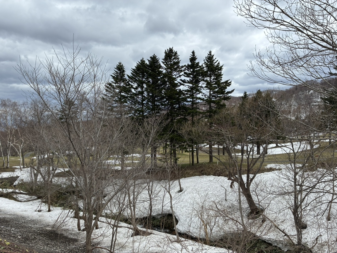男性の遺体が見つかったゴルフ場周辺の現場(札幌市手稲区)