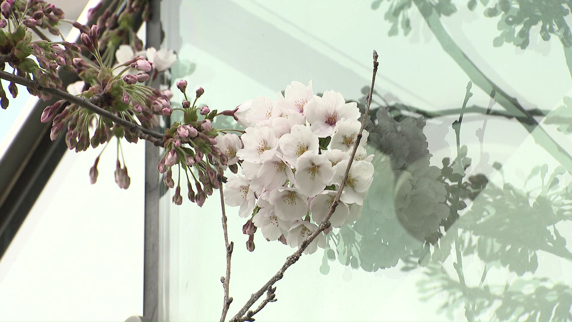 大通公園4丁目の地下鉄出入口