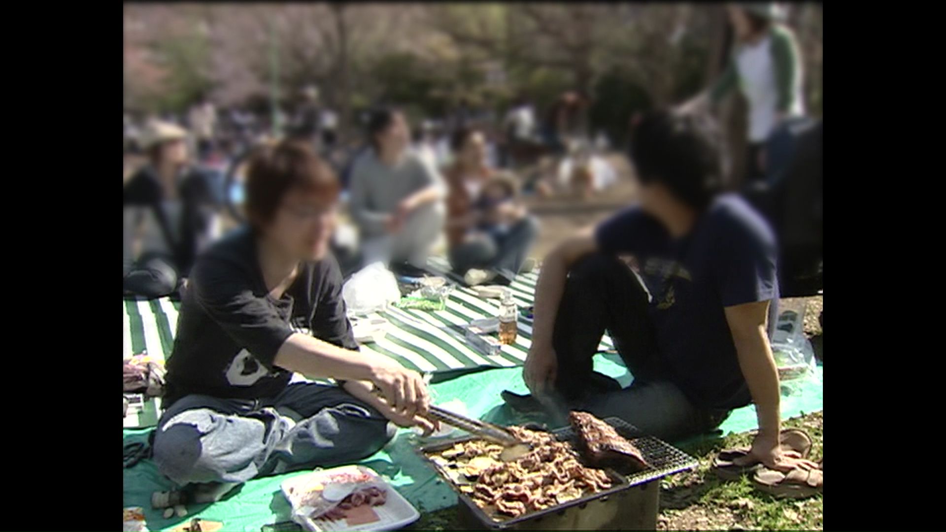 札幌市のサクラの名所・円山公園（2009年の様子）