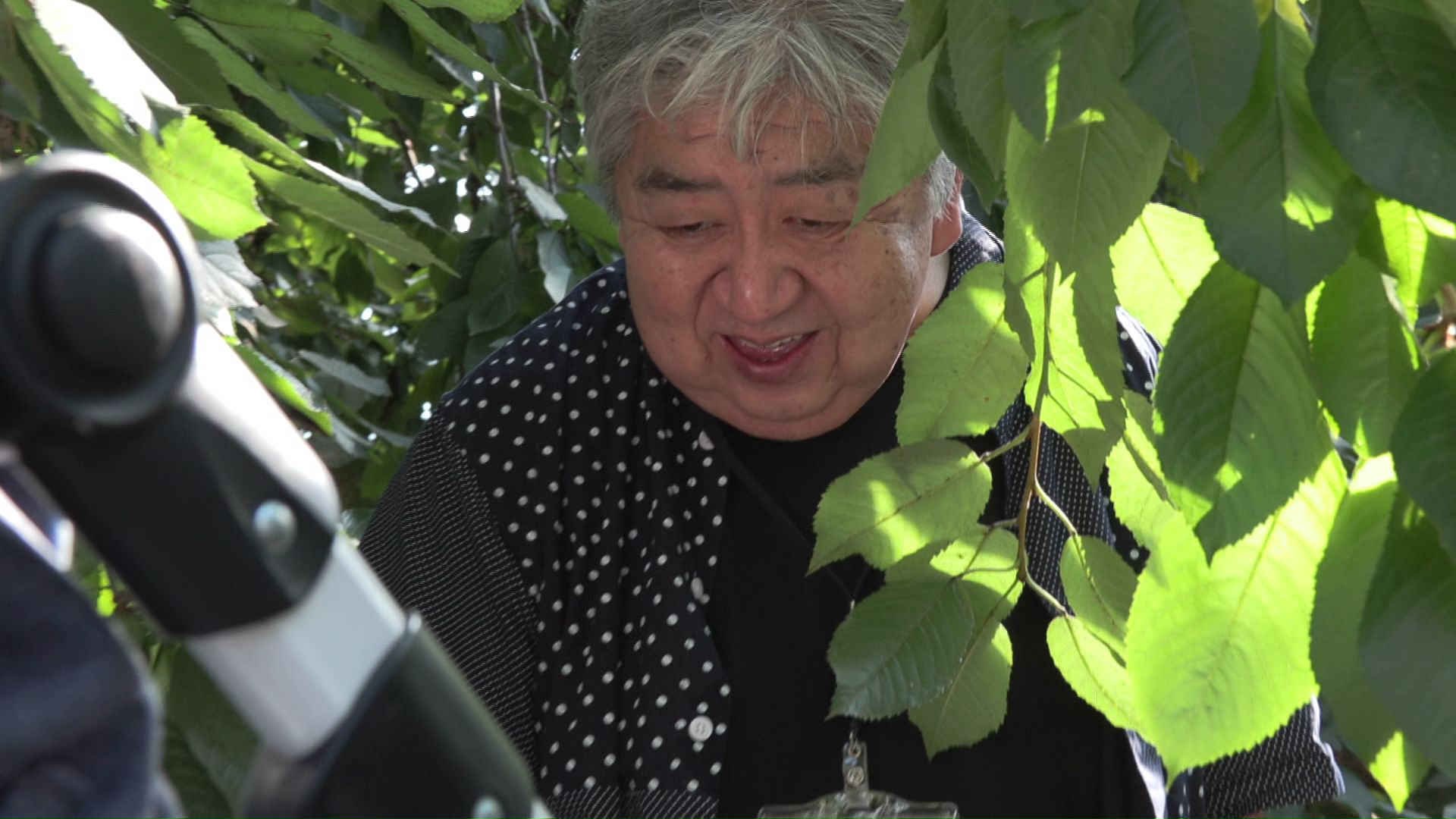 町内会の男性