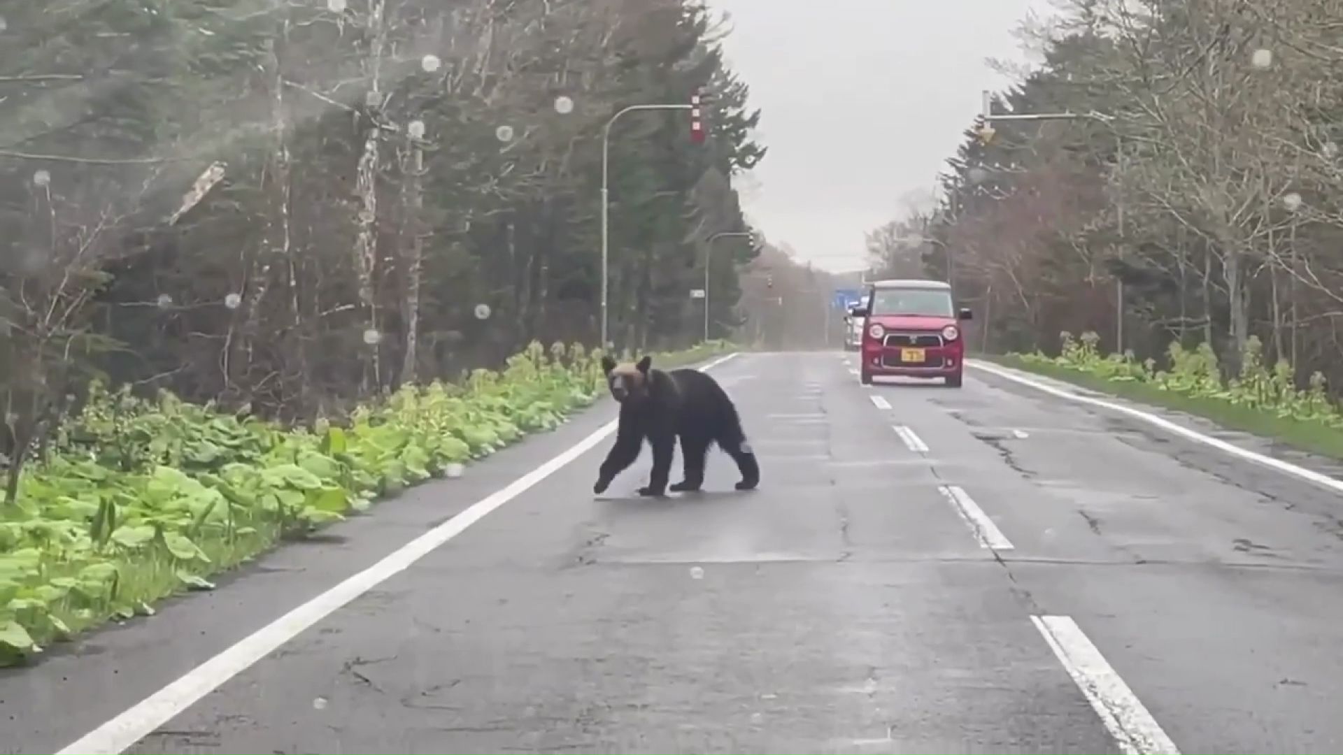 提供:トヨ兄ちゃんねる