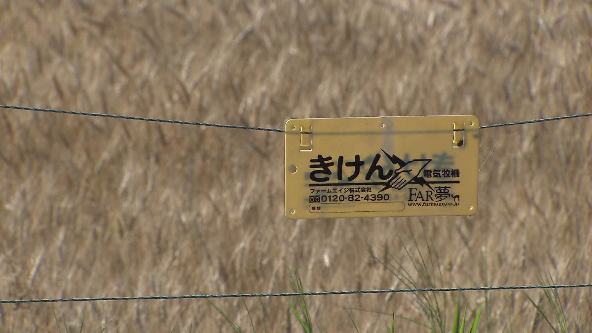 家庭菜園用の電気柵の貸し出しの受付が5月15日に始まる（資料画像）