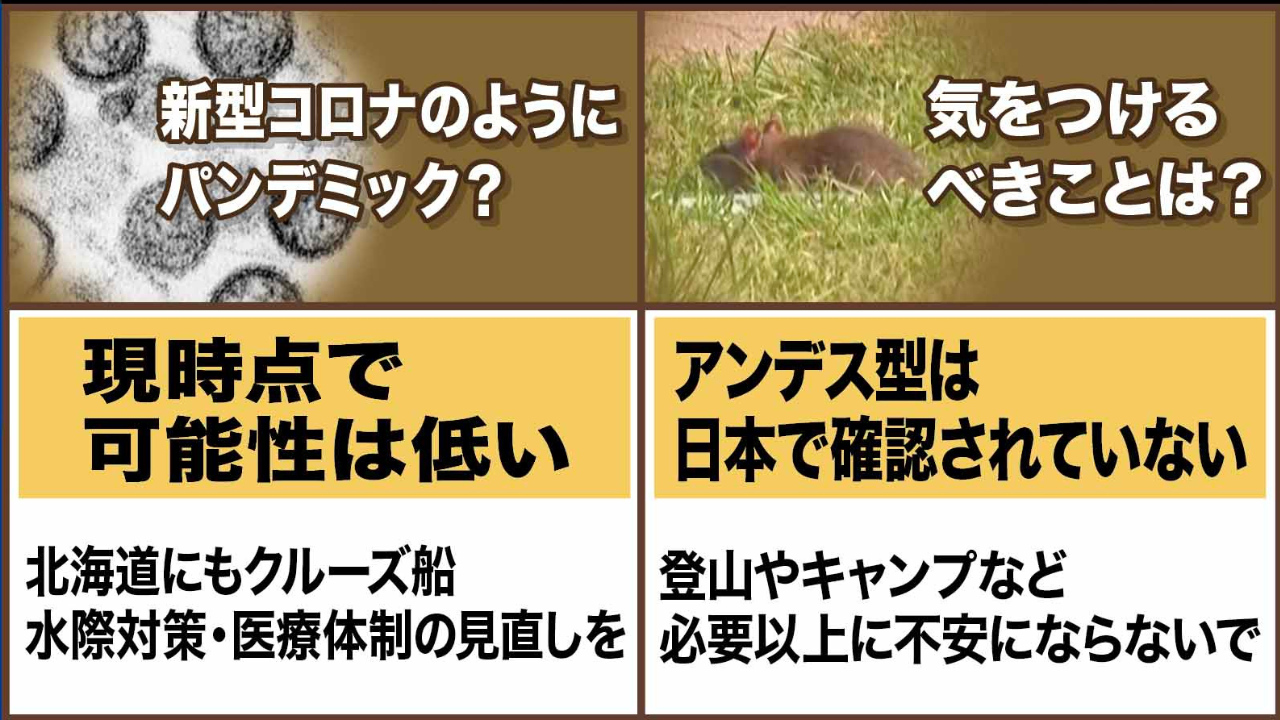 パンデミックは起こる？