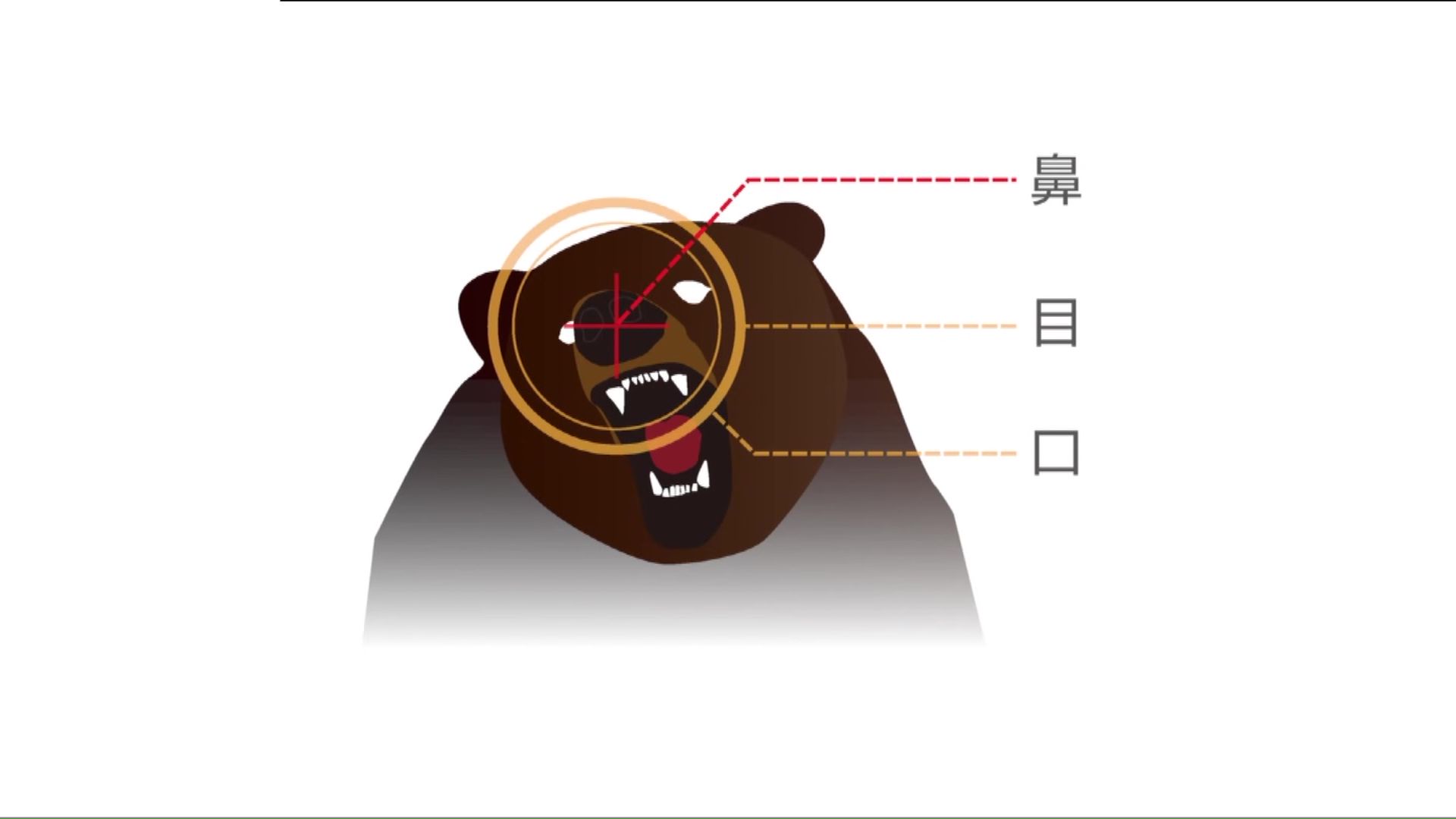 提供:mont-bell