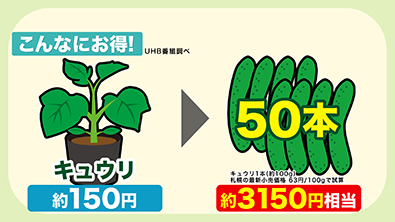 約3150円相当の収穫が可能に!