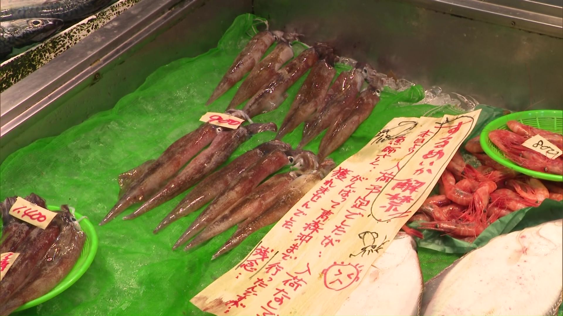 鮮魚店に並ぶのはヤリイカのみ